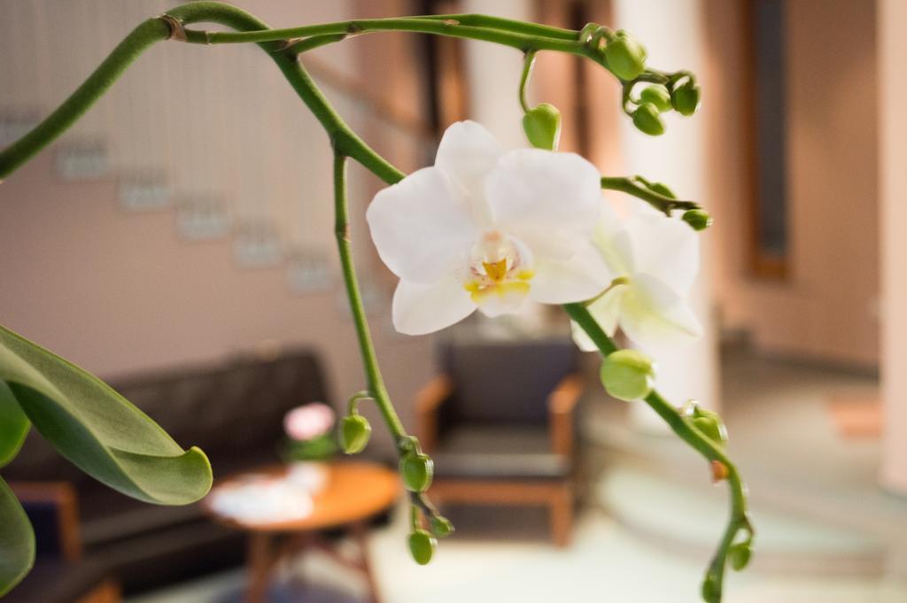 Hotel Matrix Szeged Luaran gambar